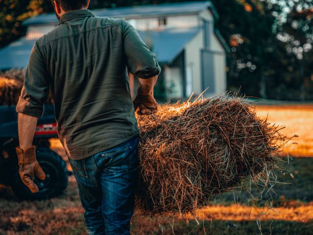 The Best UTVs and ATVs for Farm Work in 2025