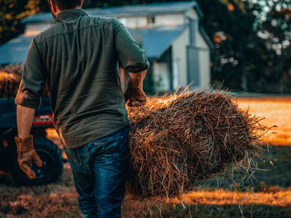 man carrying haybale