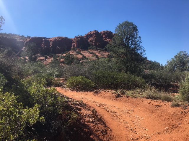 The Top 12 ATV and UTV Trails in Arizona