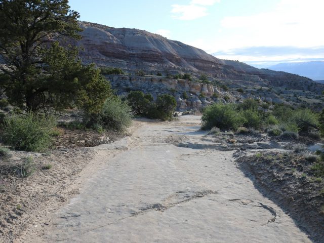The Top 10 UTV and ATV Trails in Colorado