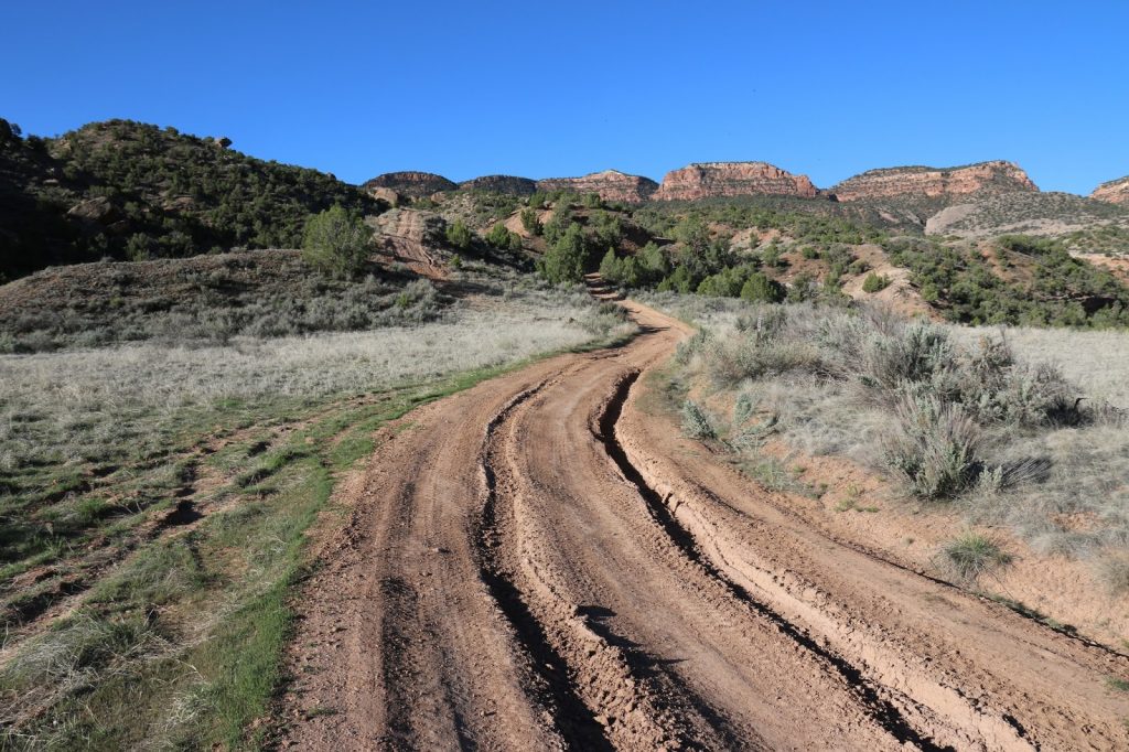 Trail at Bangs Canyon