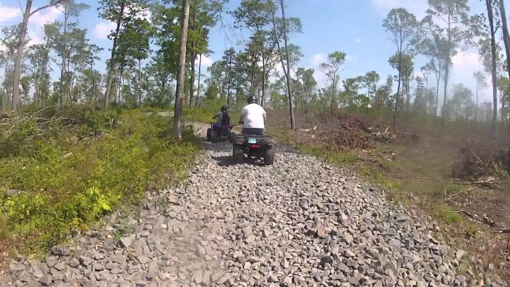 Burnt Mills Trails