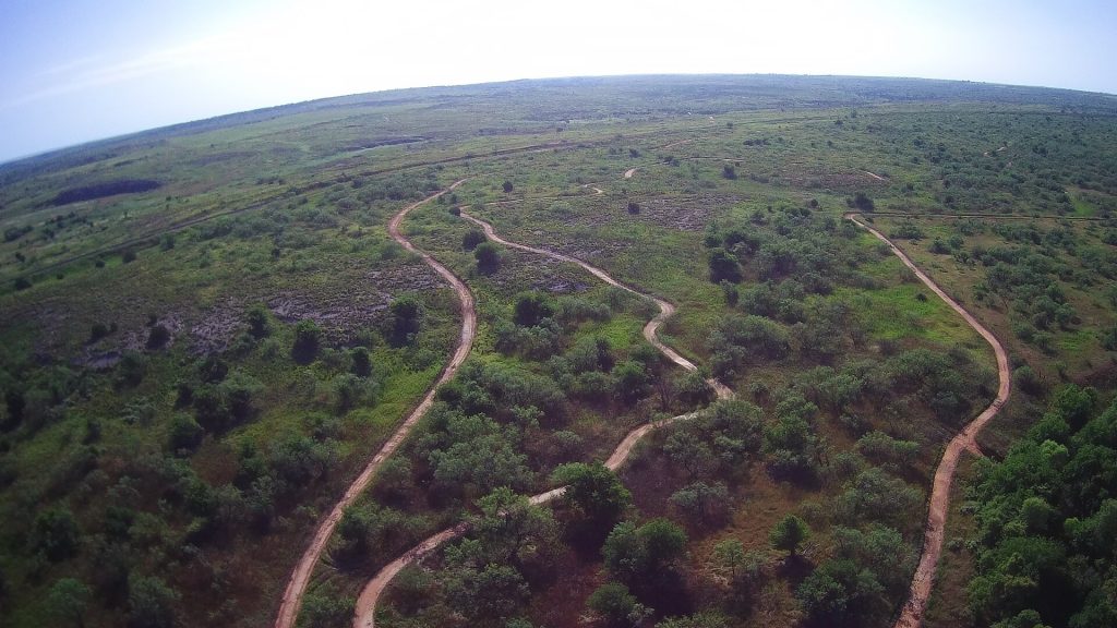 Aerial shot of trails