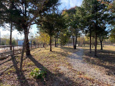 Eisenhower State Park