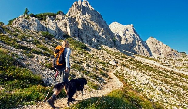Woman hiking with dog at mountain