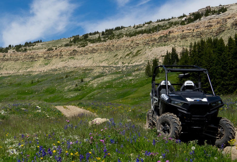A RZR in Bighorn National Forest