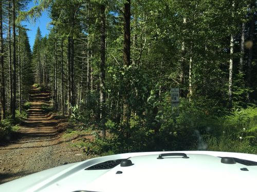 A view of the Prospect OHV Trail System from the cab.
