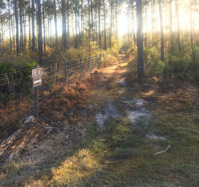 a trail along the fence line at st. mary's shoals park