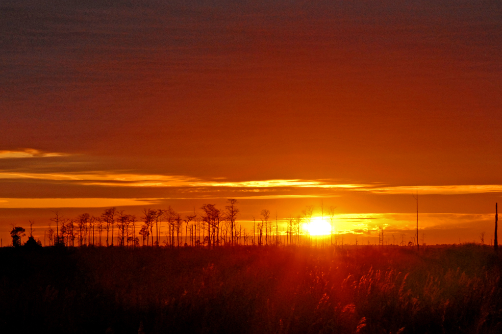 A sunset view on Mallory Swamp Trail