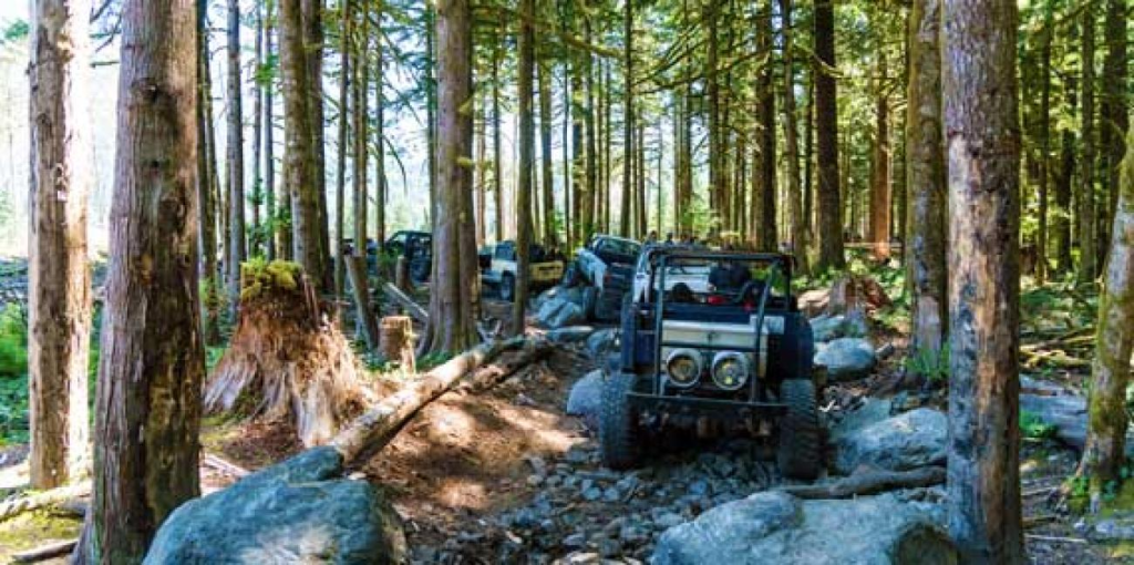A convoy of 4x4 in walker valley ORV area