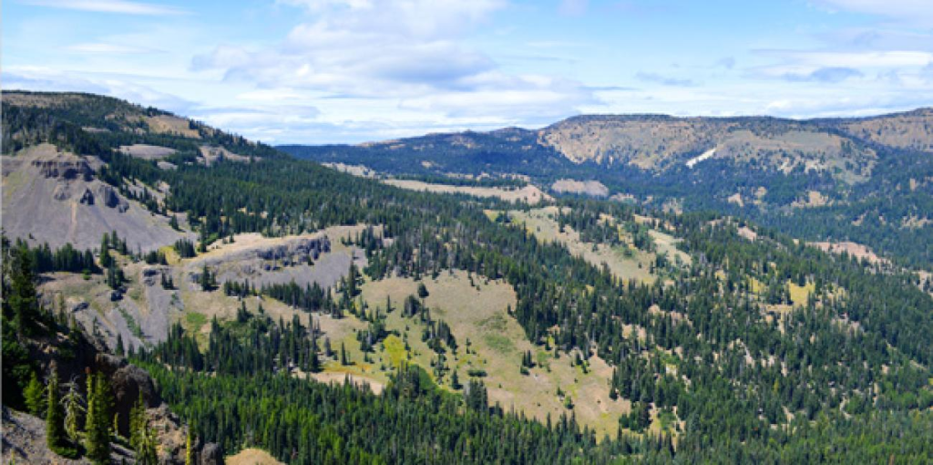 a landscape of ahtanum state forest