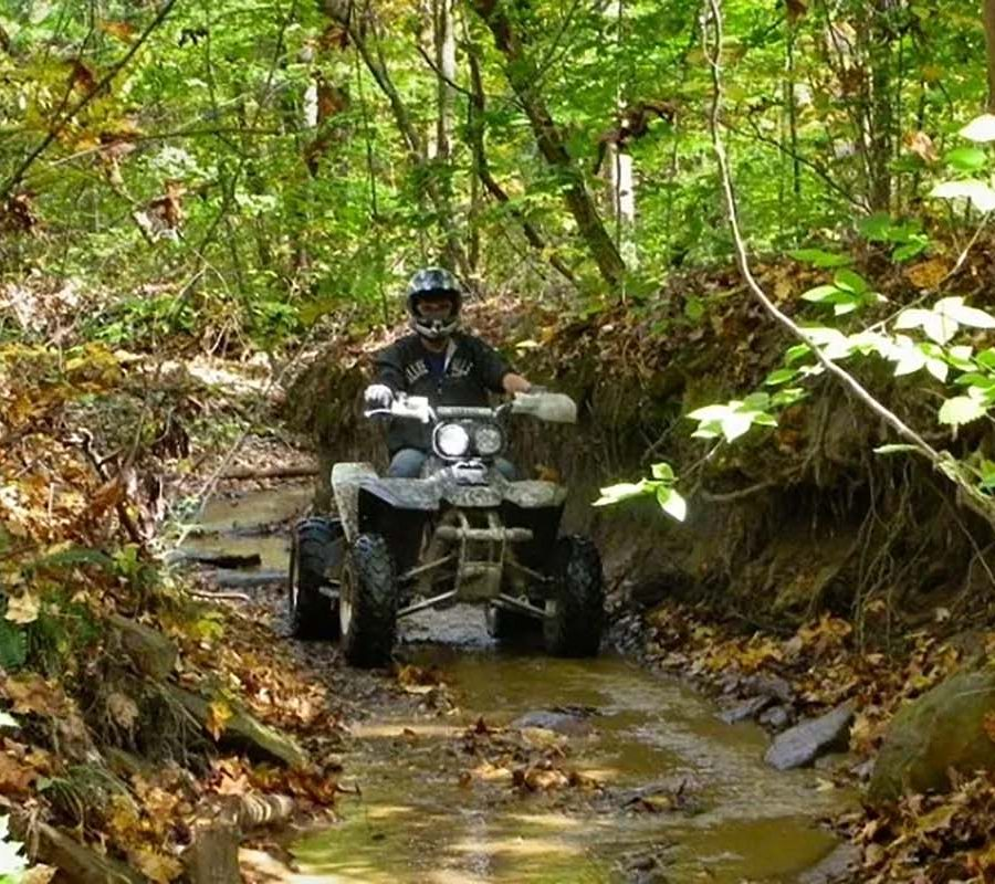 Perry State Forest APV Area.
