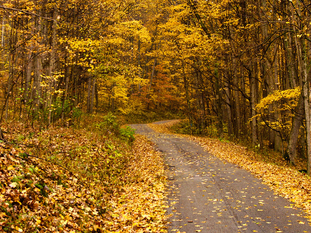 The Top 6 ATV and UTV Trails in Ohio