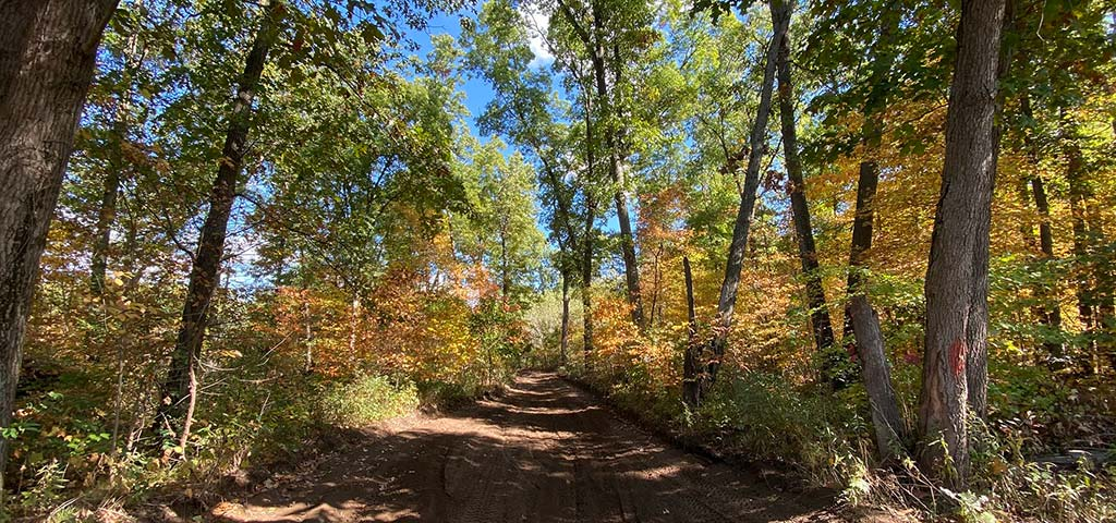 Richland Furnace State Forest APV Area.