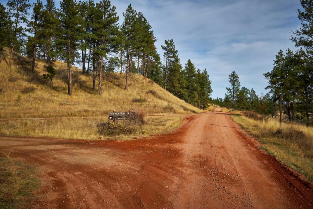A fork in the trail near miles city montana