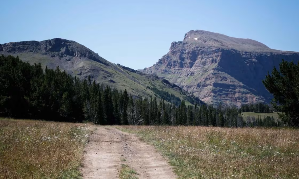 A trail below the mountains in the big sky trail system