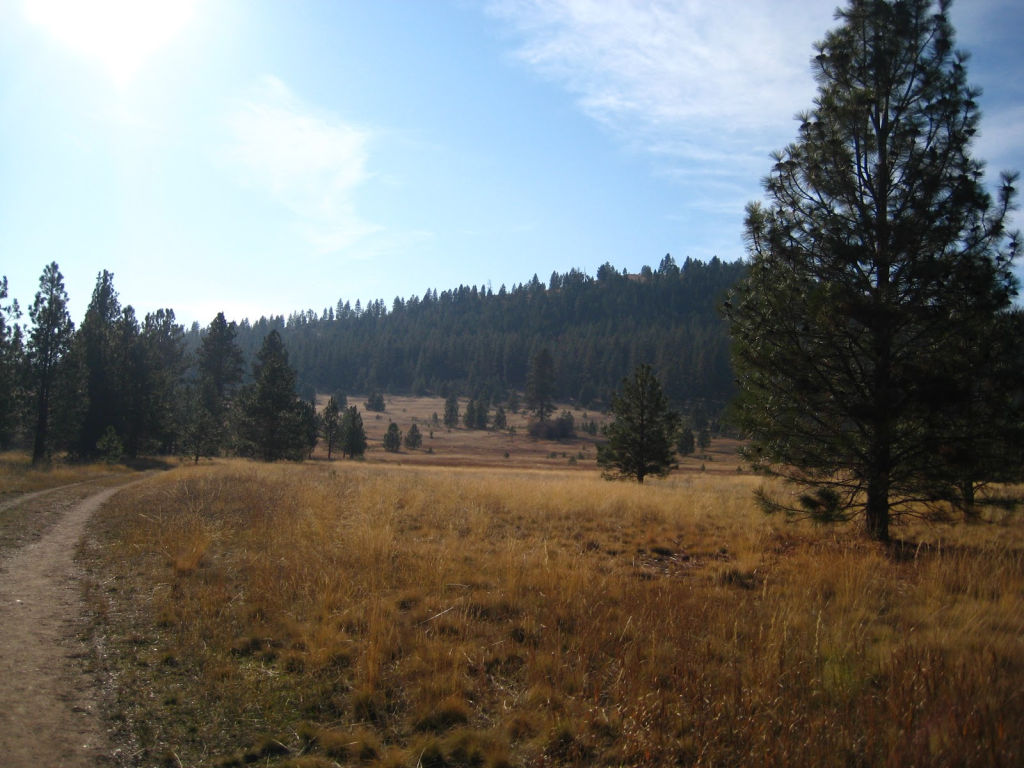 A trail through a field in the blue mountain recreation area