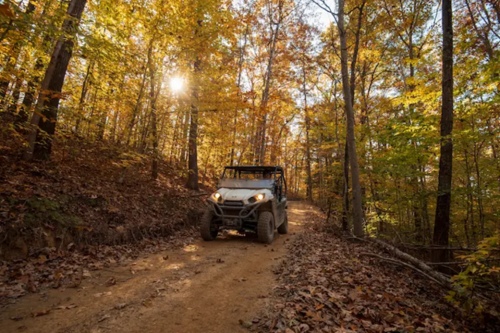 A UTV on a wooded trail