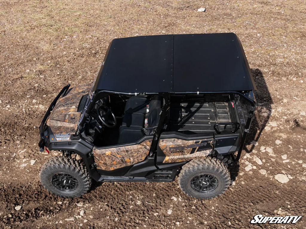 A Pioneer 1000