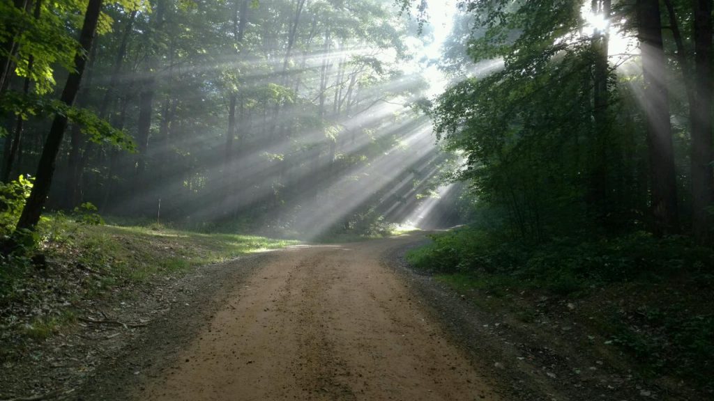 Majestic Trails