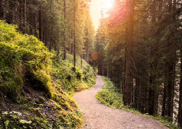 The Off-Roader’s Guide to Keeping Busy During Quarantine