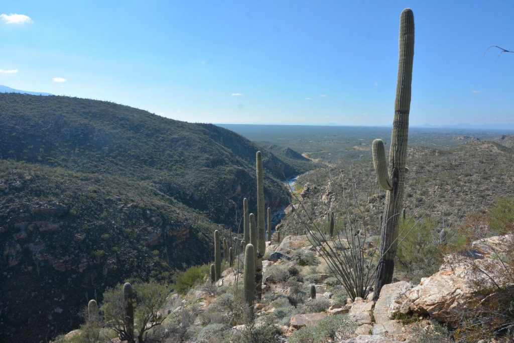 Redington Pass