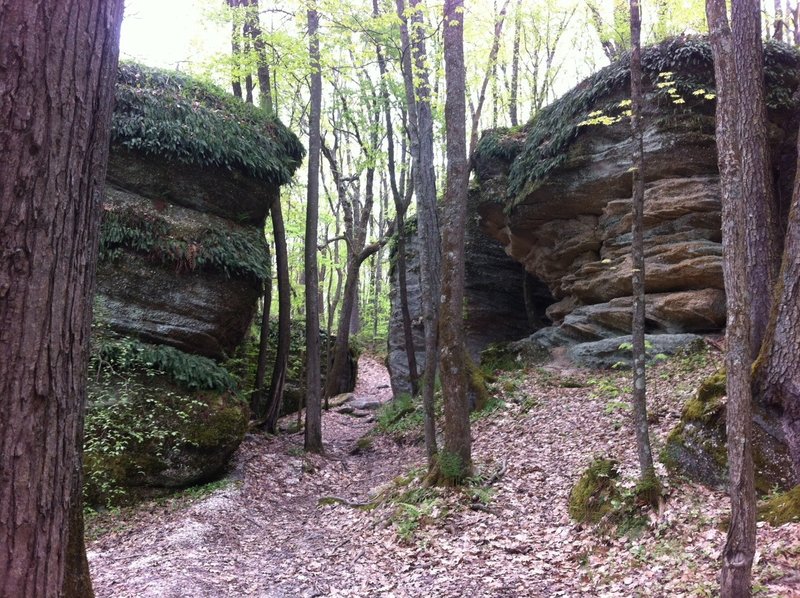Rocky Gap ATV Trail