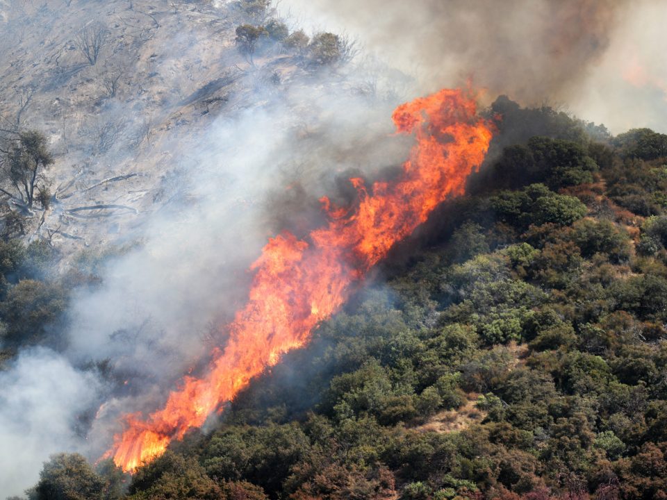 A wildfire tears through the San Bernadino National Forest in California