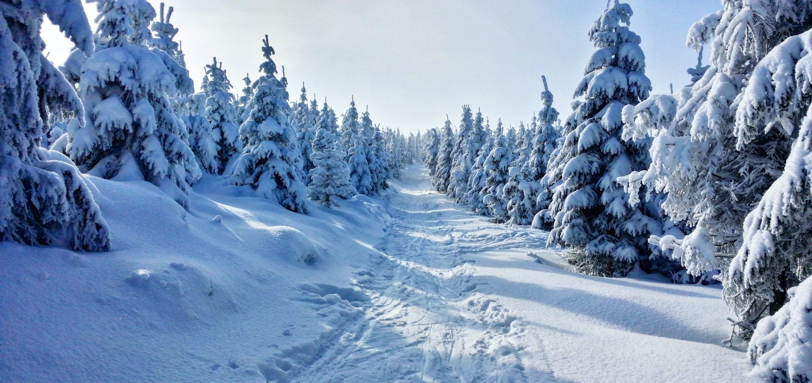 Winter Rael 11 Great Tips to Stay Safe on Your Harsh Winter Ride | SuperATV Off ...